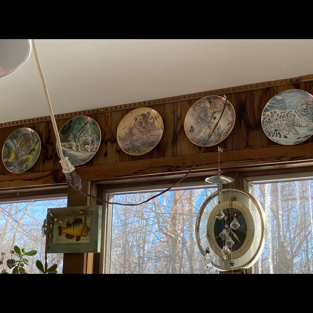 Bradford exchange / Franklin Mint collector plates